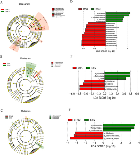 Figure 4 LEfSe was applied to assess the effect size of each differentially abundant taxon. LDA were performed to identify the most differentially abundant taxa Cladogram using results of the linear discriminant analysis (LDA) model on the bacterial hierarchy. LDA coupled with effect size measurements identified the differentially abundant taxa in different groups. (A and D) denotes the contrast between CTRL1 and CTRL2, while (B and E) illustrates the comparison between EXP1 and EXP2. Additionally, (C and F) depicts the comparison between CTRL2 and EXP2.