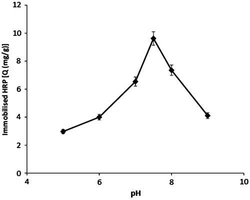 Figure 2. Effect of pH on immobilization of HRP. Initial HRP concentration: 0.5 mg/ml; gelatin loading: 65.3 mg/g; T: 25°C.