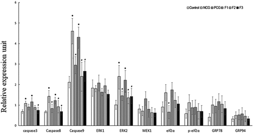 Figure 7. Effect of fucoxanthin on the expression of apoptosis-associated genes in the cadmium kidney-damaged mouse model Single factor analysis of variance between multiple groups was performed using Duncan methods.‘*’ compared with the control group, P < 0.05; ‘#’ compared with the negative control group, P < 0.05. Each group used 20 mice
