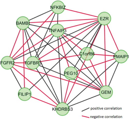 Figure 3. Co-expressed module in ovarian cancer stem cells. To identify network modules of the ovarian cancer stem cell specific co-expression network, the MCODE plugin of the Cytoscape was used. Topological parameters, modules with at least 5 nodes (genes) and network density ≥0.5 were considered to determine the co-expressed network module. Significantly correlated mutual differentially expressed genes (DEGs) were represented as nodes and statistically significant correlations between the DEGs were represented as edges. Black and red color edges represent positive and negative correlations, respectively.