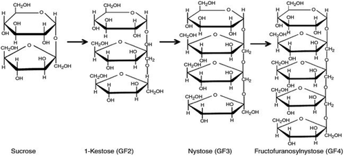 Figure 1. FOS fructose oligomers