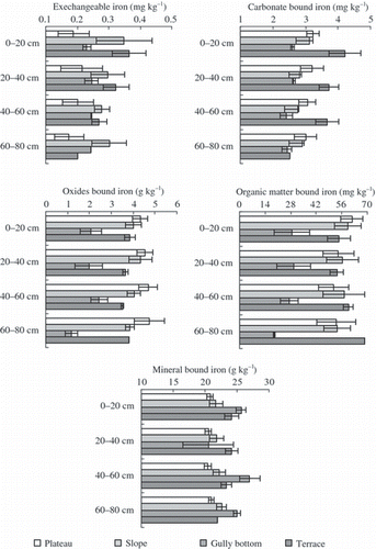 Figure 3 Profile distribution of iron fractions at selected landscape positions.