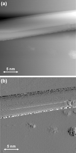Figure 3 Height (a) and current (b) STM images of a carbon nanowire grown on a graphite(0001) terrace on a 0.3% C-doped Ni(111) substrate, measured with a tungsten tip in UHV (Vs=−1.52 V, It=0.95 nA).
