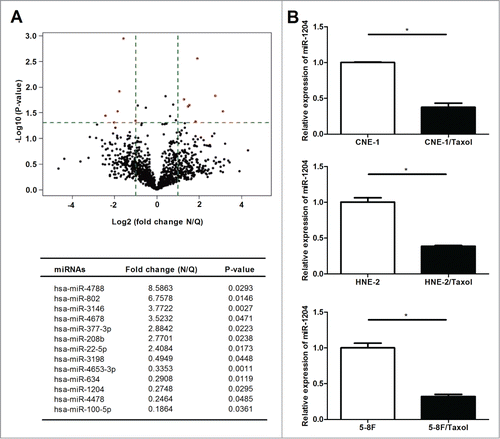 Figure 2. Expression of miR-1204 is significantly different in the paclitaxel-resistant nasopharyngeal carcinoma cell sublines. (A) Volcano plot showing differences in the miRNAs detected by microarray for the paclitaxel-resistant CNE-1/Taxel cells (n=3 , N2, N4, N6) and the parental CNE-1 cells (n=3 , Q1, Q3, Q5). The -Log10 (p-value) is plotted against the fold change difference in expression, the vertical lines correspond to fold2- up and down, respectively, and the horizontal line represents a p-value of 0.05, so the red points in the plot represent the differentially expressed miRNAs with statistical significance. (B) Comparion of miR-1204 expression levels between CNE-1, HNE-2 and 5–8F cells and CNE-1/Taxol, HNE-2/Taxol and 5–8F/Taxol cells. (*P value < 0.05).