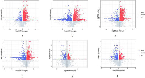 Figure 7 Differential metabolites selection by volcano plot. (a) Volcano plot of sham group/model group in cation mode. (b) Volcano plot of sham group/model group in anion mode. (c) Volcano plot of sham group/BSHXF group in cation mode. (d) Volcano plot of sham group/BSHXF group in anion mode. (e) Volcano plot of model group/BSHXF group in cation mode. (f) Volcano plot of model group/BSHXF group in anion mode.