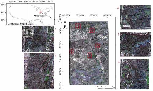 Figure 1. Study areas in eastern Columbus, Ohio, U.S.A, including five woody parks (image: WorldView-2, October 8th, 2011). Park1–5 are Big Walnut Park, Blacklick Woods Metro Park, Gahanna Woods Park, Olde Quarry Park, and Pine Quarry Park, respectively.