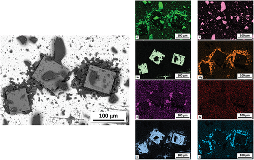 Fig. 8. SEM/EDS analysis of 300 μg/cm2 SIL-CO-SIL 75 dust deposited on a coupon previously coated with 300 μg/cm2 of sea salt.[Citation16]