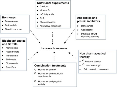 Figure 2 Treatment options for osteoporosis in men.