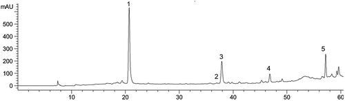 Figure 1. High-performance liquid chromatography profile of the phenolic acids in SPDFC-HD at 300 nm: (1) gallic acid; (2) cafeic acid; (3) chlorogenic acid; (4) p-coumaric acid; (5) cinnamic acid.Figura 1. Perfil de cromatografía líquida de alto rendimiento de los ácidos fenólicos en SPDFC-HD a 300 nm: (1) ácido gálico; (2) ácido cafeico; (3) ácido clorogénico; (4) ácido p-cumárico; (5) ácido cinámico.