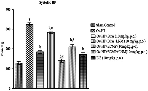Figure 5. Effect of pharmacological interventions on systolic blood pressure in ovariectomized hypertensive rats.