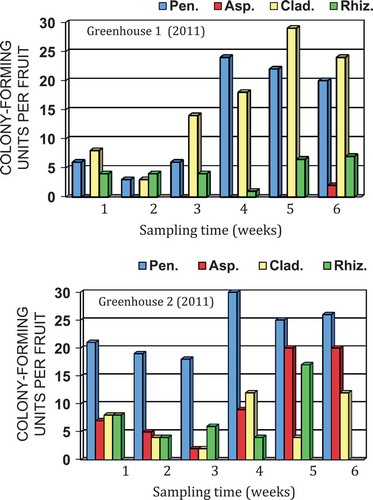 Fig. 2 (Colour online)Colony-forming units of four genera of fungi recovered from swabs of tomato fruit surfaces plated onto potato dextrose agar. Two greenhouses in Delta and Langley, BC were sampled over a 6-week period in 2011. Pen = Penicillium; Asp = Aspergillus; Clad = Cladosporium; Rhiz = Rhizopus.