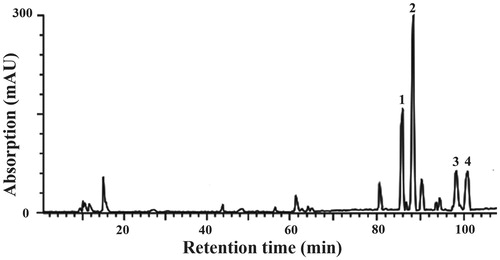 Figure 1. HPLC fingerprint of triterpene acids isolated from P. cocos. The peaks were identified as (1) polyporenic acid C, (2) pachymic acid, (3) dehydrotrametenolic acid and (4) trametenolic acid.