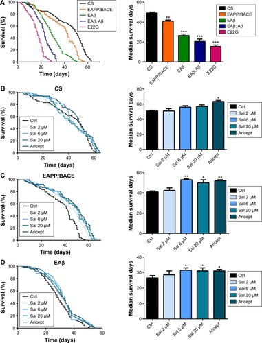 Figure 1 Sal treatment increases the life span of a transgenic AD Drosophila model.