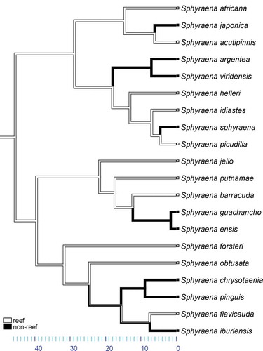 Figure 3. Maximum parsimony mapping of reef vs. non-reef association on Bayesian Evolutionary Analysis Sampling Trees (BEAST) chronogram.