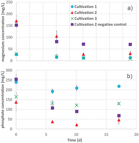 Figure 6. Magnesium (a) and phosphate (b) concentration during 17 d of cultivation of A. platensis in Zarrouk medium cultivation 1 (blue circles), Zarrouk medium with 160 mg/L magnesium cultivation 2 (red triangles), Zarrouk medium with 160 mg/L phosphate cultivation 3 (green crosses) and Zarrouk medium with 160 mg/L magnesium cultivation 2 negative control (without culture of A. platensis) (purple squares). Error bars show the standard deviation of threefold determination.