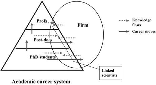 Figure 1. Career and knowledge flows across the academia–industry boundary. Source: Lam (Citation2007, 1011).