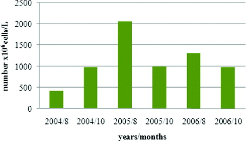 Figure 2. Dynamics of average total phytoplankton numbers in Vaya Lake (2004–2006): 8 August; 10 October.