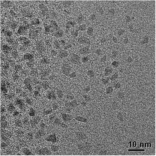 Figure 1. TEM images of Co-NPs prepared by the polyol process.