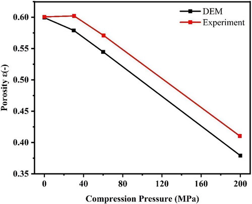 Figure 8. Comparison of porosity ε under different compression pressures, the tomography data is from Ebner et al. [Citation30].