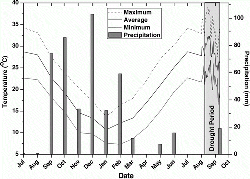 Figure 1.  Monthly precipitation and maximum, minimum and average air temperature for the establishment period (20 Aug. 2009 – 15 July 2010). Daily maximum, minimum and average air temperature during drought period (10 Aug. – 10 Sept. 2010) indicated by the grey area. Data were provided by the Laboratory of General and Agricultural Meteorology of the Agricultural University of Athens.