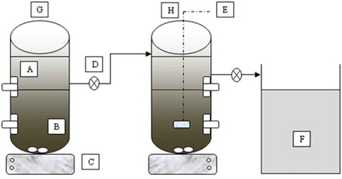 Figure 1. Experimental setup of the MBR system. (a) Infeed/raw leachate; (b) Mixer; (c) Anoxic tank; (d) Aeration tank; (e) Air diffusers; (f) Air blower; (g) Pressure sensor; (h) Permeate/Backpulse pump; (i) Hollow fiber MBR; (j) Recirculation, 5-10Q; (k) Return sludge; (l) Drain; (m) Permeate tank, (s) Sampling location.