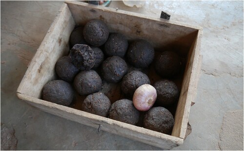 Figure 11. Dawadawa (carob mixed with soybean flour), to be eaten or sold in the market, Duko, Northern Region, Ghana.