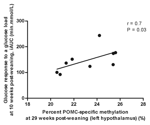 Figure 7. Correlation between pro-opiomelanocortin (POMC)-specific methylation and glucose response to a glucose load at 10 weeks post-weaning by Spearman’s correlation coefficient, n = 9.
