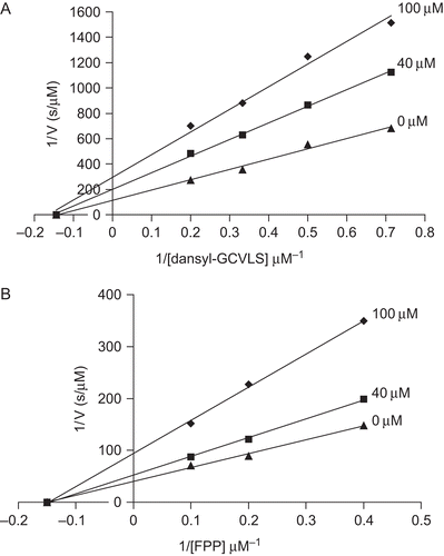 Figure 2.  Lineweaver–Burk plots for the inhibition of PFTase isolated from yeast by compound 15 in the presence of dansyl-GCVLS peptide and FPP as substrates. Concentrations of inhibitor 15 were 0, 40, and 100 μM with excess FPP (A), or with excess dansyl-GCVLS (B).