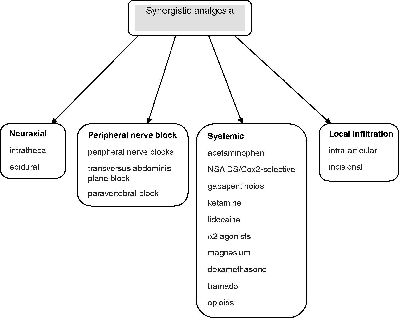 Figure 1. Basic components of synergistic analgesic regimensCitation91.