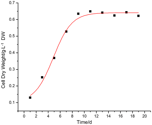 Fig. 1. Cell dry weight in A. lobata D. Don culture (Spots indicate the cell dry weight at different culture times, curve is cell dry weight kinetics).