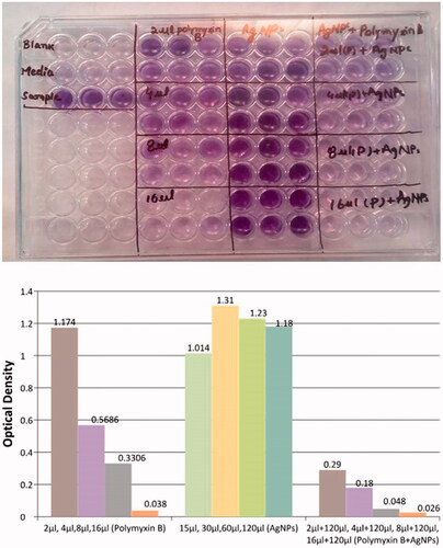 Figure 5. Optical density (OD) of biofilms in the presence of different concentrations of Polymyxin B, NPs and their synergistic activity.