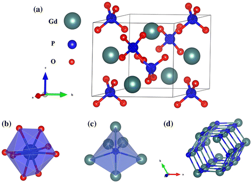 Figure 5. Schematic of the crystal structure of hexagonal GdPO4·nH2O (a), GdO8 dodecahedron (b), and P-Gd octahedron (c). (d) shows the open tunnels running through the structure along the c axis (oxygen atoms are omitted for clarity).