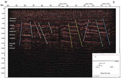 Figure 13. Shows the values of seismic attributes of the reservoir and source rocks as the difference in density by the anomaly of reflectivity energy.