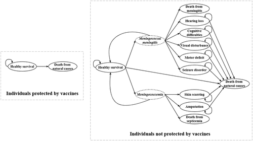 Figure 2. Markov chains simulating the health status of individuals.