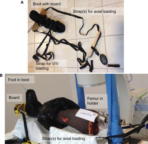 Figure 3 Apparatus used to hold the specimen for load application.