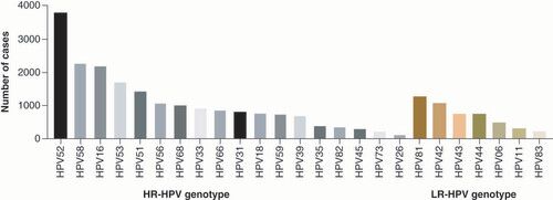 Figure 2. Distribution of human papillomavirus subtypes among human papillomavirus-positive patients.HPV: Human papillomavirus; HR-HPV: High-risk HPV; LR-HPV: Low-risk HPV.