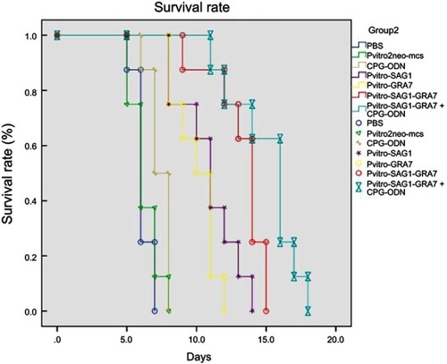 Figure 4 Survival curves in control and experimental groups after receiving 1×103 T. gondii RH strain tachyzoites four weeks after the last immunization. Each group included nine mice. Survival was monitored daily for 18 days after challenges.