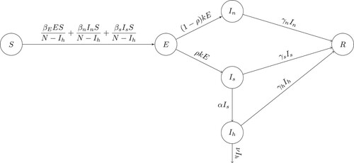 Figure 1. Flow chart of model (Equation1(1) S′=−βEES+βnInS+βsIsSN−Ih,E′=βEES+βnInS+βsIsSN−Ih−kE,In′=(1−ρ)kE−γnIn,Is′=ρkE−(α+γs)Is,Ih′=αIs−(γh+ν)Ih,R′=γnIn+γsIs+γhIh.(1) ) showing the transition of individuals between the classes defined by disease status.