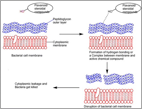 Figure 7. Plausible mechanism for antibacterial activity.