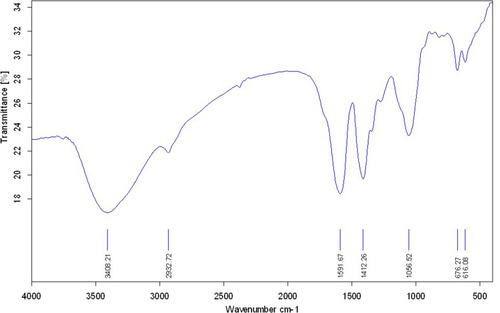 Figure 1 The FT-IR spectra of synthesized CuO-NPs.