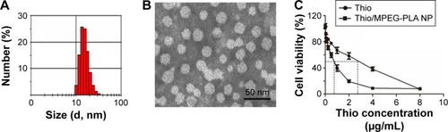 Figure 2 Characterization of Thio/MPEG-PLA NPs.Notes: (A) Size distribution spectrum of Thio/MPEG-PLA NPs. (B) TEM image of Thio/MPEG-PLA NPs. (C) Cytotoxicity of Thio and Thio/MPEG-PLA NPs.Abbreviations: Thio, thioridazine; MPEG-PLA, methoxy poly(ethylene glycol)-poly(l-lactic acid); NP, nanoparticle; TEM, transmission electron microscopic.