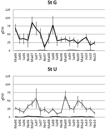 Figure 2. Average amount of macroalgae (as gDW) at the study sites (site G: StG; site U: StU; black: Gracilaria vermiculophylla; Grey: Ulva rigida; bars are SD). Ma06: March 2006; Ju06: June 2006; etc.