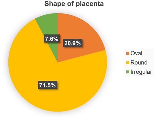 Figure 1 Distribution of the shape of the placenta in Hadiya zone public hospitals, Southern Ethiopia, 2018.