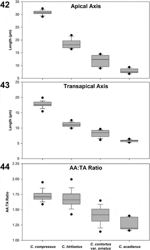 Figs 42–44. Comparative summary of the valve metric characters for closely related Chaetoceros species. Fig. 42. Apical axis. Fig. 43. Transapical axis. Fig. 44. Ratio of apical to transapical axes. Upper/lower boundary of box = 75th/25th percentile; upper/lower error bar = 90th/10th percentile; upper/lower dot = 95th/5th percentile; line within box = median. Metrics for C. acadianus includes post-sexual cells. Raw data for C. compressus, C. hirtisetus and C. contortus var. ornatus are the same as in Chamnansinp et al. (Citation2015) with permission by the authors.