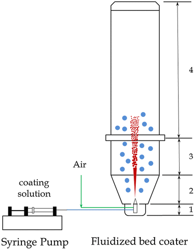 Figure 1. Sketch of the fluidized bed coating process.