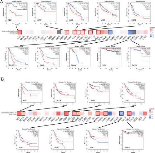 Figure 3 Analysis of FAM111B expression associated prognosis in different cancers. (A) Analysis of overall survival (OS) between FAM111B expression and various cancers, Kaplan-Meier curves demonstrate that significant difference between high and low expression of FAM111B and OS in some cancers; (B) Analysis of disease-free survival (DFS) between FAM111B expression and various cancers, Kaplan-Meier curve demonstrates that significant difference between high and low expression of FAM111B and DFS in some cancers.