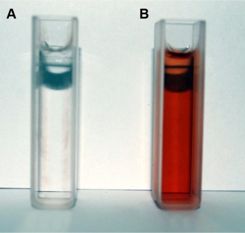 Figure 1 Surface plasmon resonance of silver nanoparticles.Notes: (A) silver nitrate solution; (B) green-synthesized silver nanoparticles in ruby red color after 30 minutes.