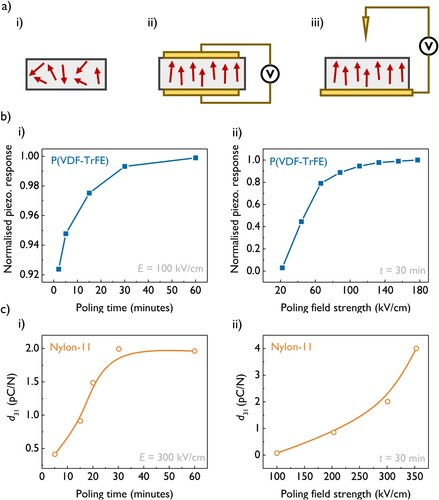 Figure 5. (a) (i) A schematic of an un-poled ferroelectric material. The arrows represent dipole moments. (ii) Poling of a ferroelectric material through the use of attached surface electrodes. (iii) Corona poling of a ferroelectric material. This method does not require electrodes to be attached to the material. (b) The influence of (i) poling time and (ii) poling field on the piezoelectric response of P(VDF-TrFE). Data reproduced from reference [Citation62] under the Creative Commons CC BY license. (c) The influence of (i) poling time and (ii) poling field in the d31 piezoelectric coefficient of Nylon-11. Dielectric breakdown was observed for fields larger than 350 kV/cm. Data reproduced with permission from reference [Citation85] .