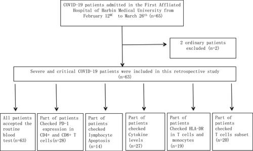 Figure 1 Flowchart of COVID-19 patients.