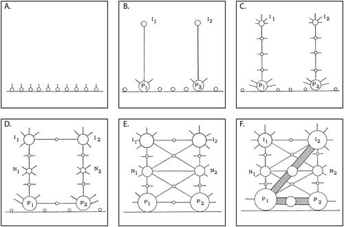 Figure 5. Flow piracy and percolation, before and after. “Ideal-typical sequence of transport development”: Ghana, C15–C20 (Illustrations from Taaffe, Morrill, and Gould Citation1963, 504). The spikes on hubs are points of articulation where higher flow network links intercept and pirate the flow of smaller hinterland trails (not shown).